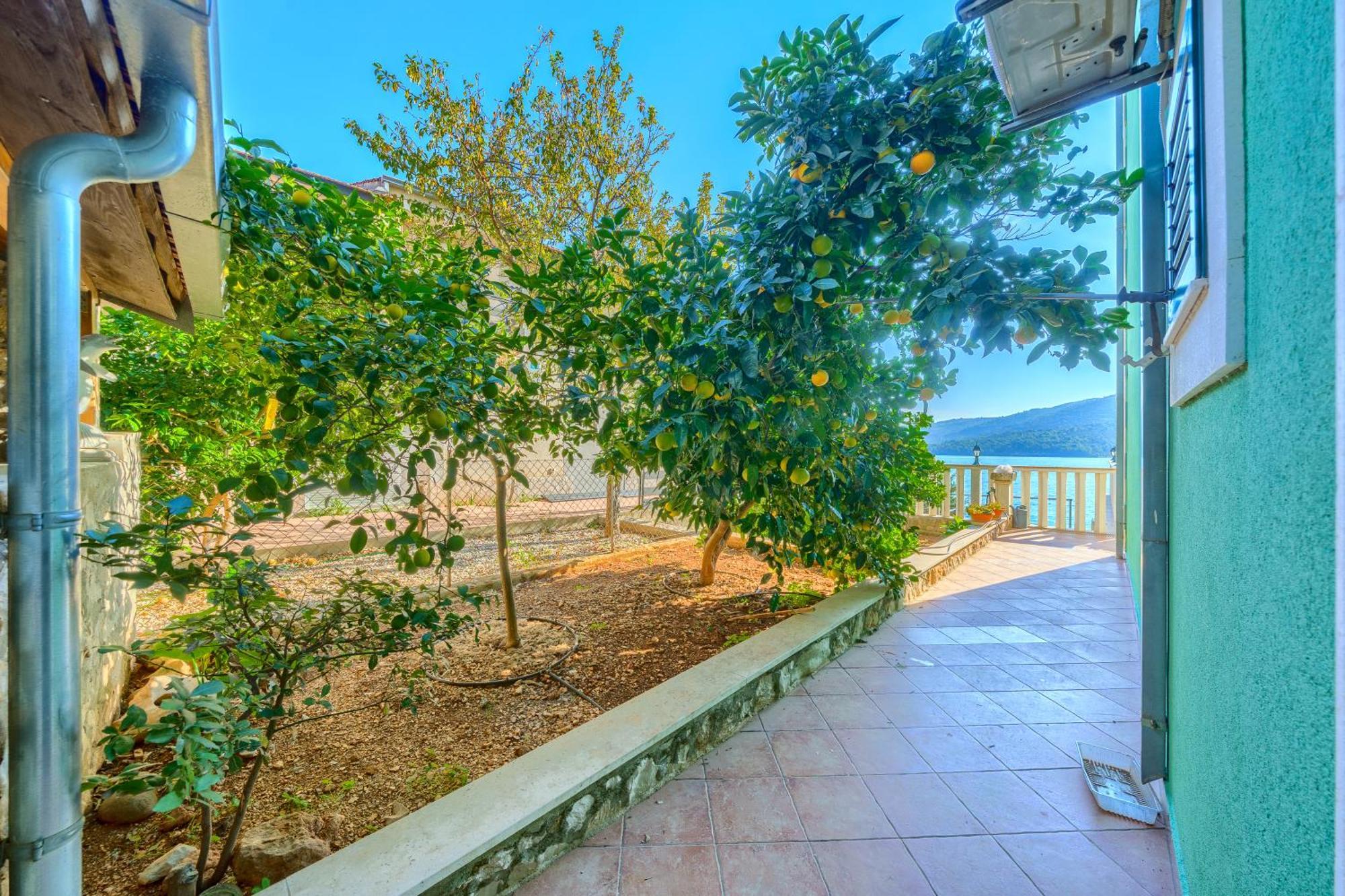 Villa Drago Marina Extérieur photo